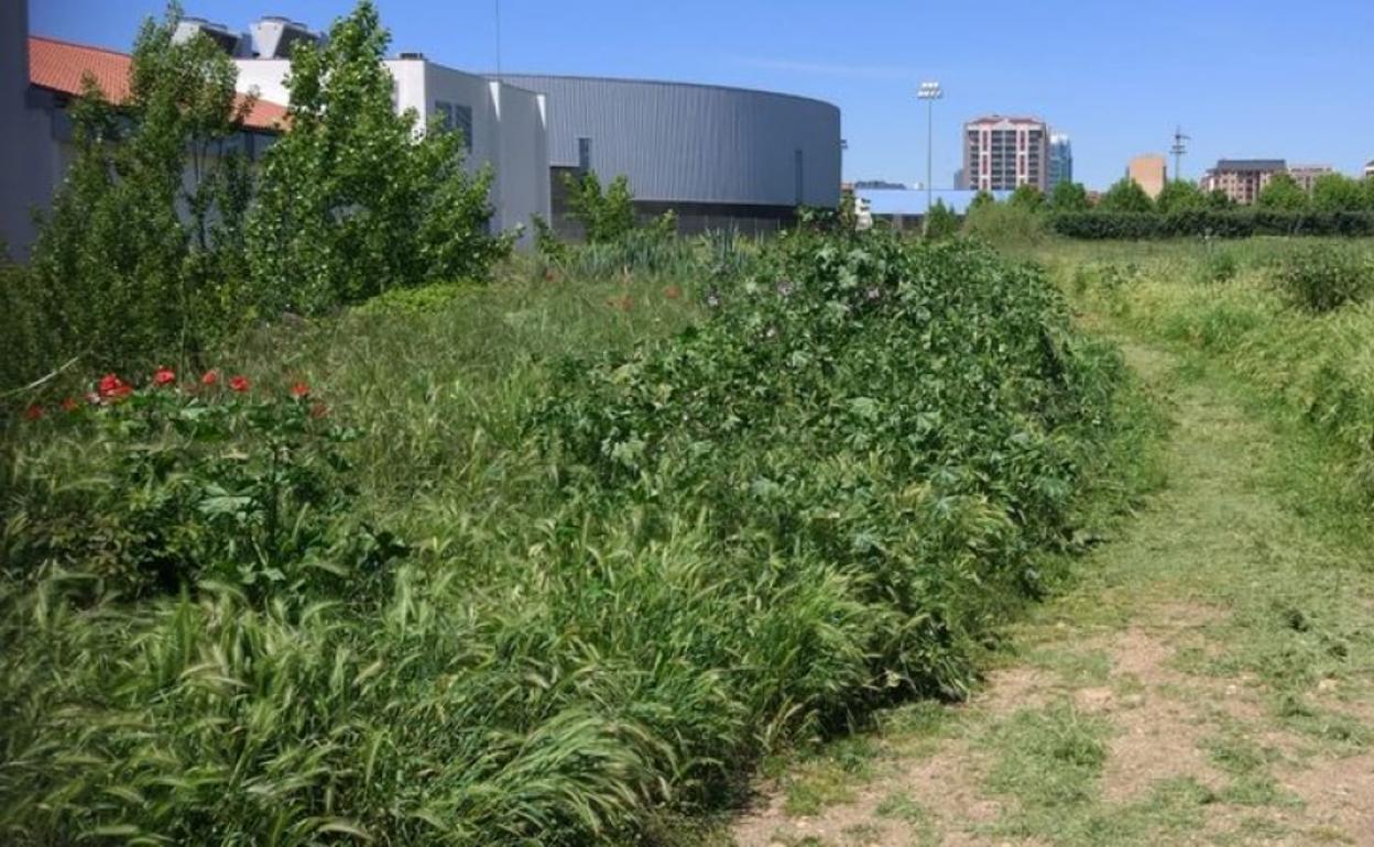 Imagen de una de las zonas que la UPL pone como ejemplo de necesaria intervención municipal. Las fotografías han sido facilitadas por la propia formación leonesista.