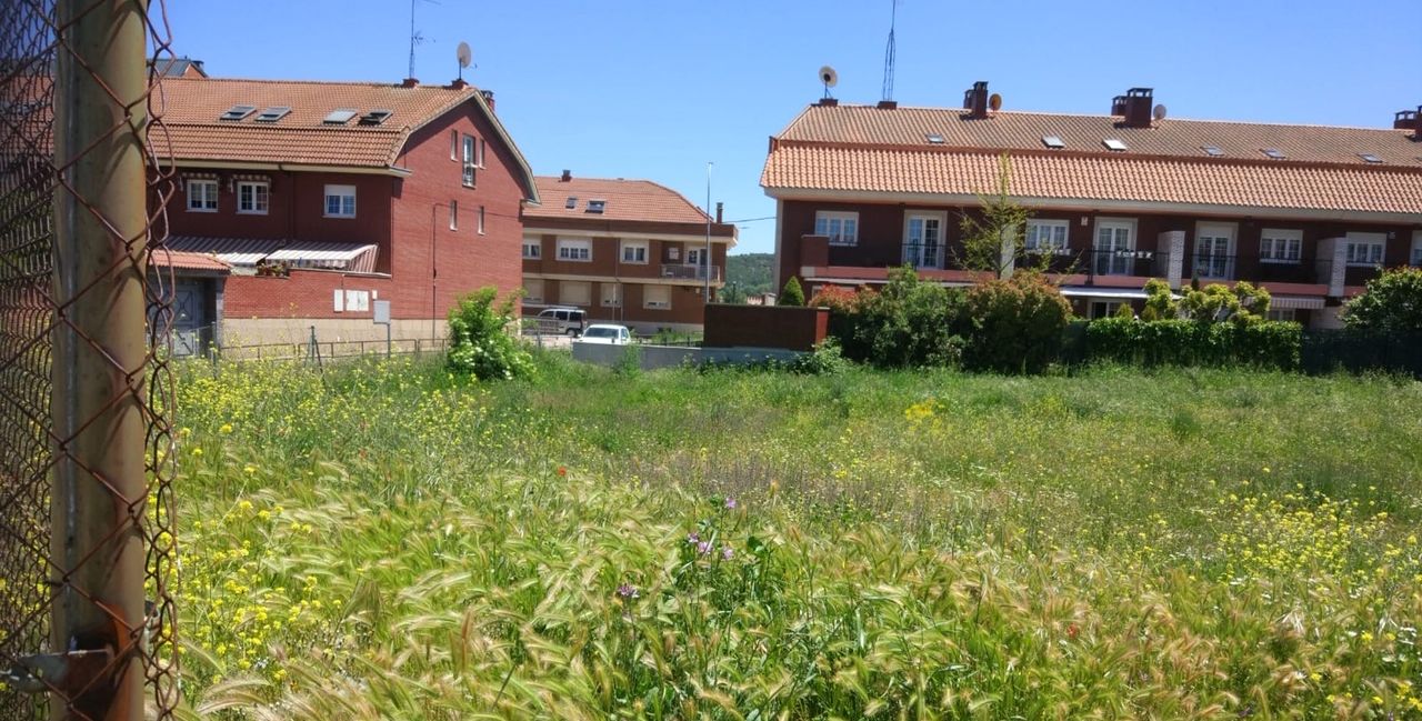 UPL reclama al equipo de gobierno del PSOE más diligencia en el mantenimiento de las zonas verdes de la ciudad. Imágenes facilitadas por la formación leonesista.