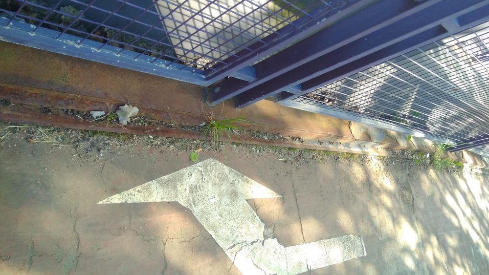 UPL reclama al equipo de gobierno del PSOE más diligencia en el mantenimiento de las zonas verdes de la ciudad. Imágenes facilitadas por la formación leonesista.