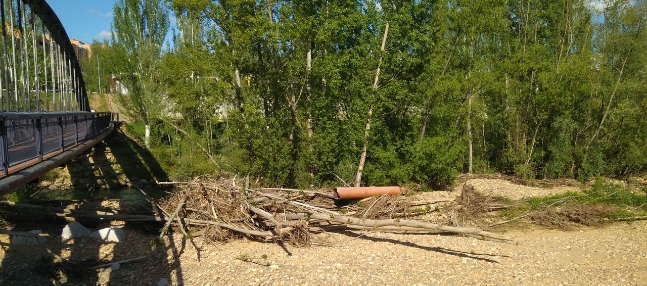 UPL reclama al equipo de gobierno del PSOE más diligencia en el mantenimiento de las zonas verdes de la ciudad. Imágenes facilitadas por la formación leonesista.