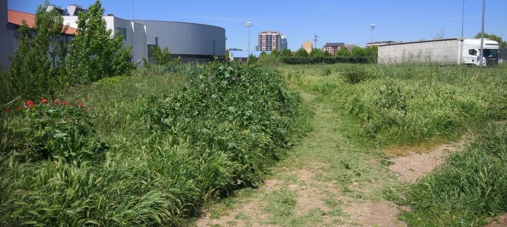 UPL reclama al equipo de gobierno del PSOE más diligencia en el mantenimiento de las zonas verdes de la ciudad. Imágenes facilitadas por la formación leonesista.