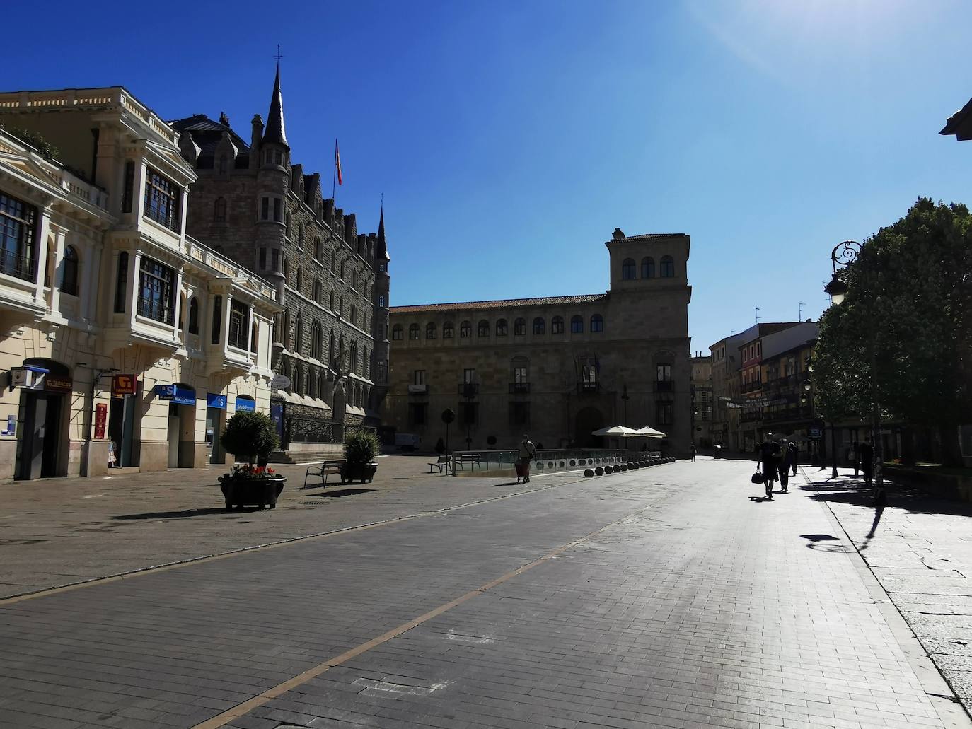 La mañana despierta junto a Botines. 