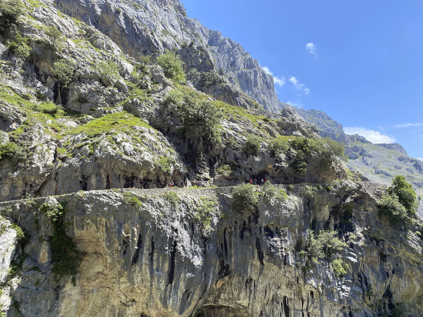 Los aficionados al senderismo han estrenado el verano y la nueva normalidad con un espléndido día para adentrarse en la montaña. El Urriellu, en los Picos de Europa, ha sido el telón de fondo mara muchos de los amantes de este deporte que ha acudido a realizar la popular Ruta del Cares. Poco a poco, el sendero va recuperando su afluencia habitual. 