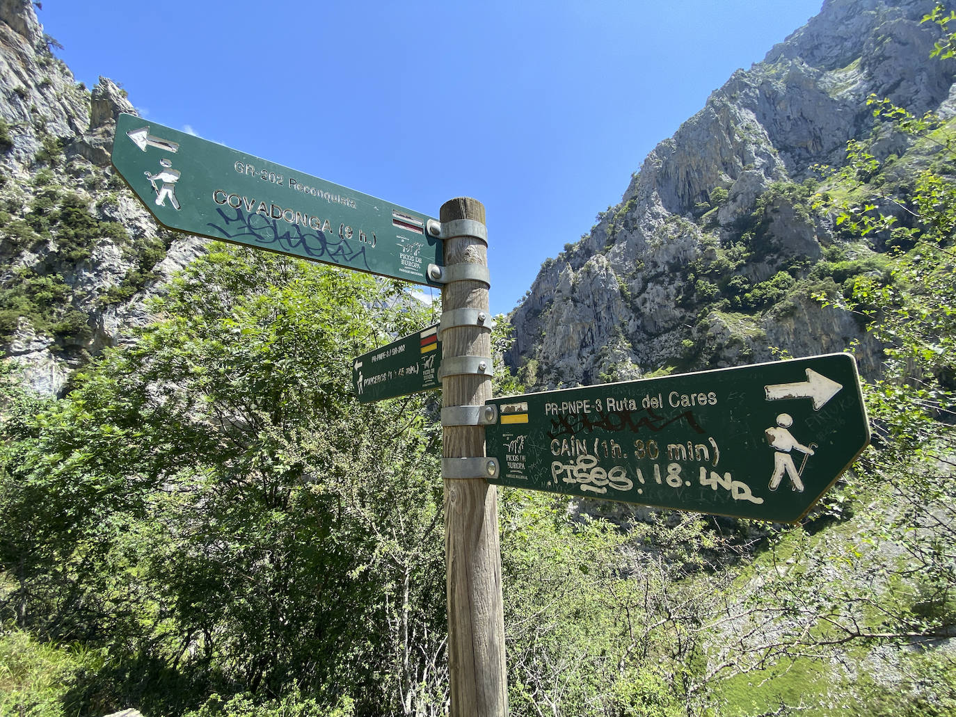 Los aficionados al senderismo han estrenado el verano y la nueva normalidad con un espléndido día para adentrarse en la montaña. El Urriellu, en los Picos de Europa, ha sido el telón de fondo mara muchos de los amantes de este deporte que ha acudido a realizar la popular Ruta del Cares. Poco a poco, el sendero va recuperando su afluencia habitual. 