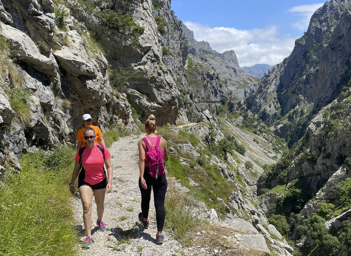 Los aficionados al senderismo han estrenado el verano y la nueva normalidad con un espléndido día para adentrarse en la montaña. El Urriellu, en los Picos de Europa, ha sido el telón de fondo mara muchos de los amantes de este deporte que ha acudido a realizar la popular Ruta del Cares. Poco a poco, el sendero va recuperando su afluencia habitual. 