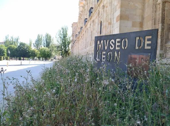 San Marcos antes de la actuación municipal. 