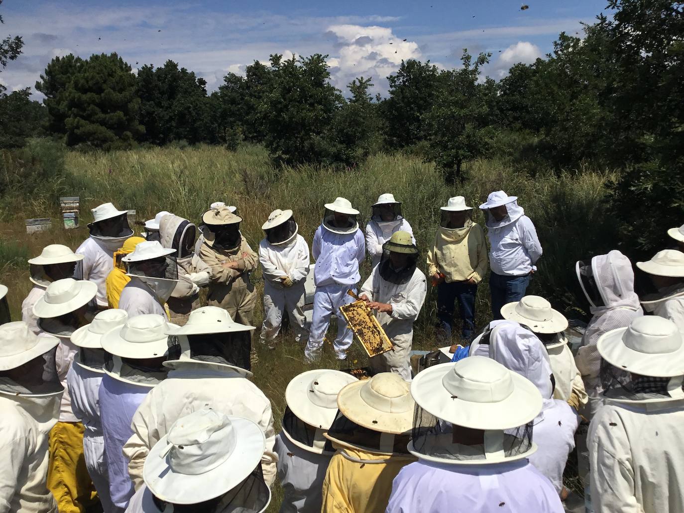 Esta empresa de apicultura leonesa se caracteriza por sus sellos de artesanía y ecología de sus productos. 