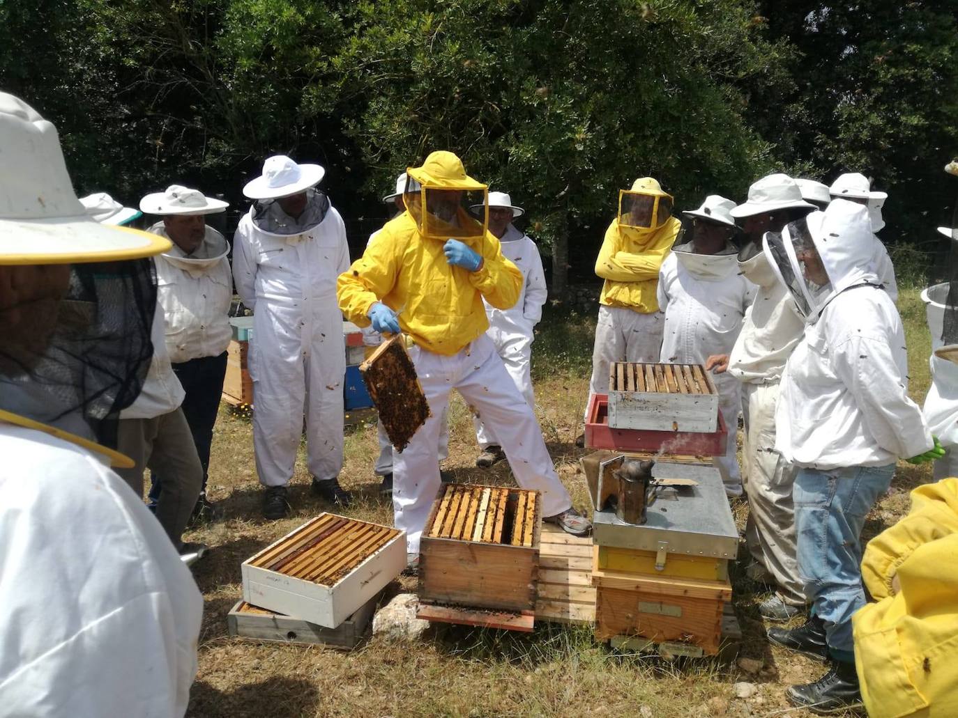 Esta empresa de apicultura leonesa se caracteriza por sus sellos de artesanía y ecología de sus productos. 