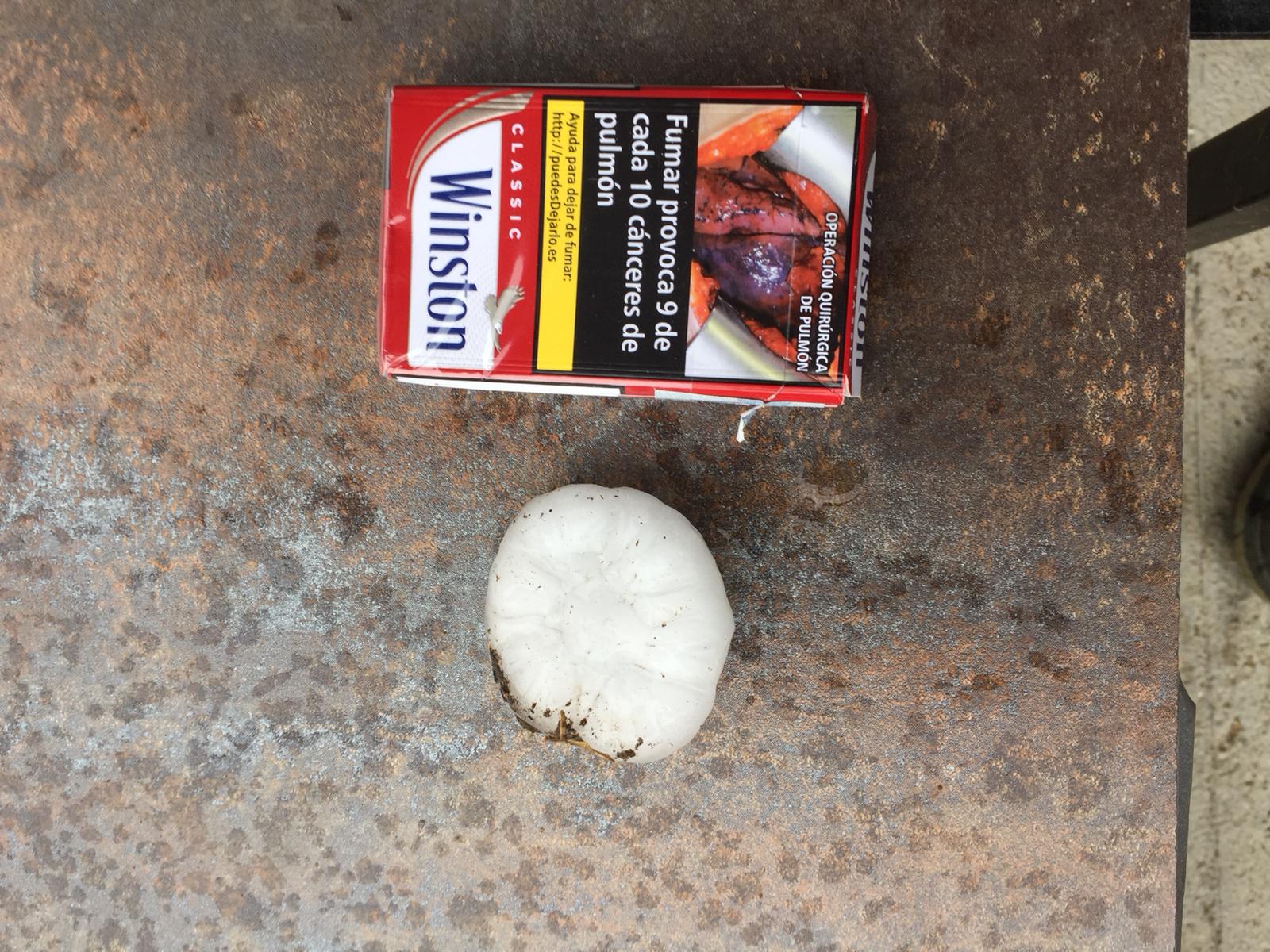 Tamaño de las piedras de granizo caídas en Villalfeide.