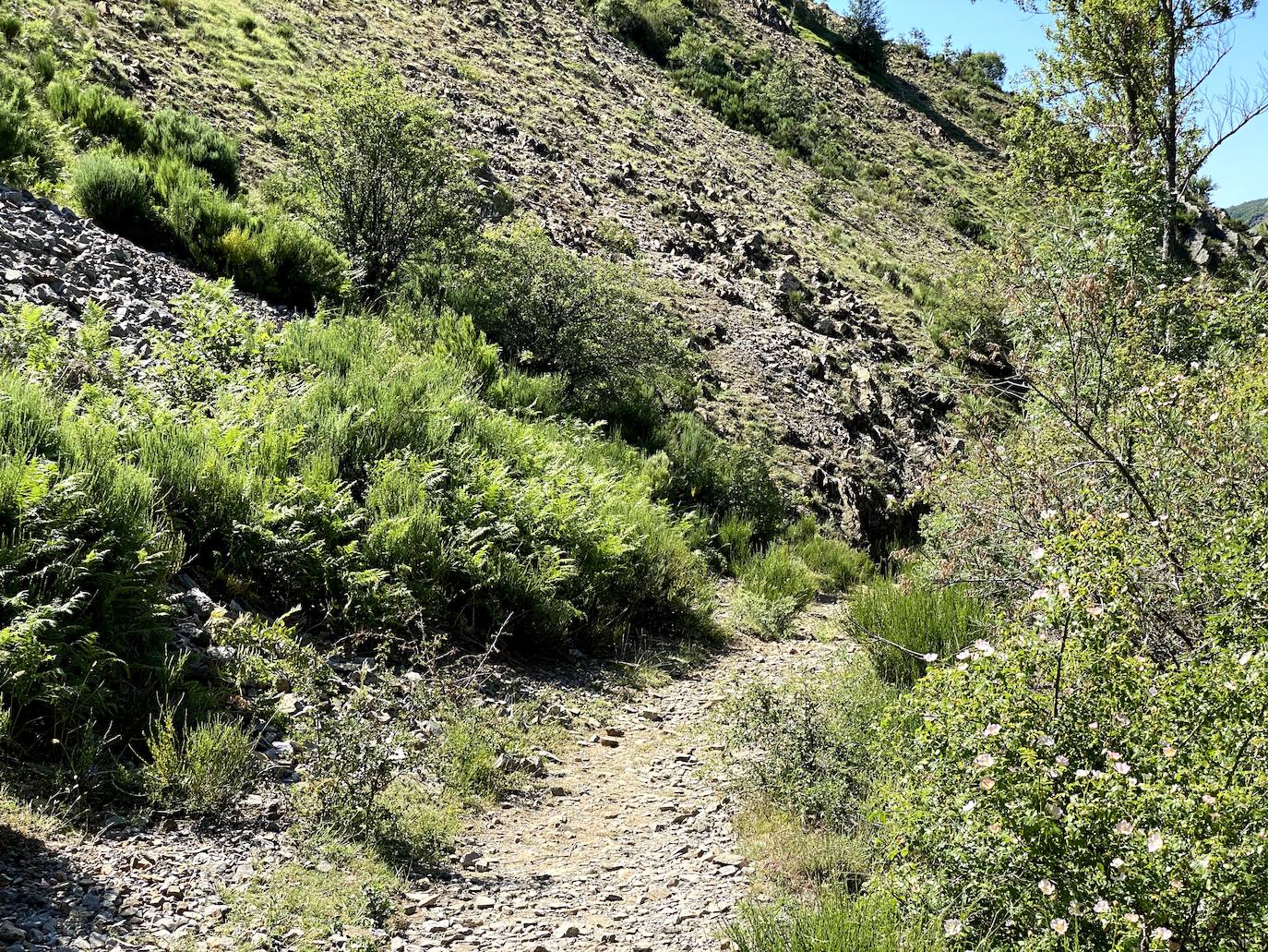 Fotos: De ruta por León: Los Calderones