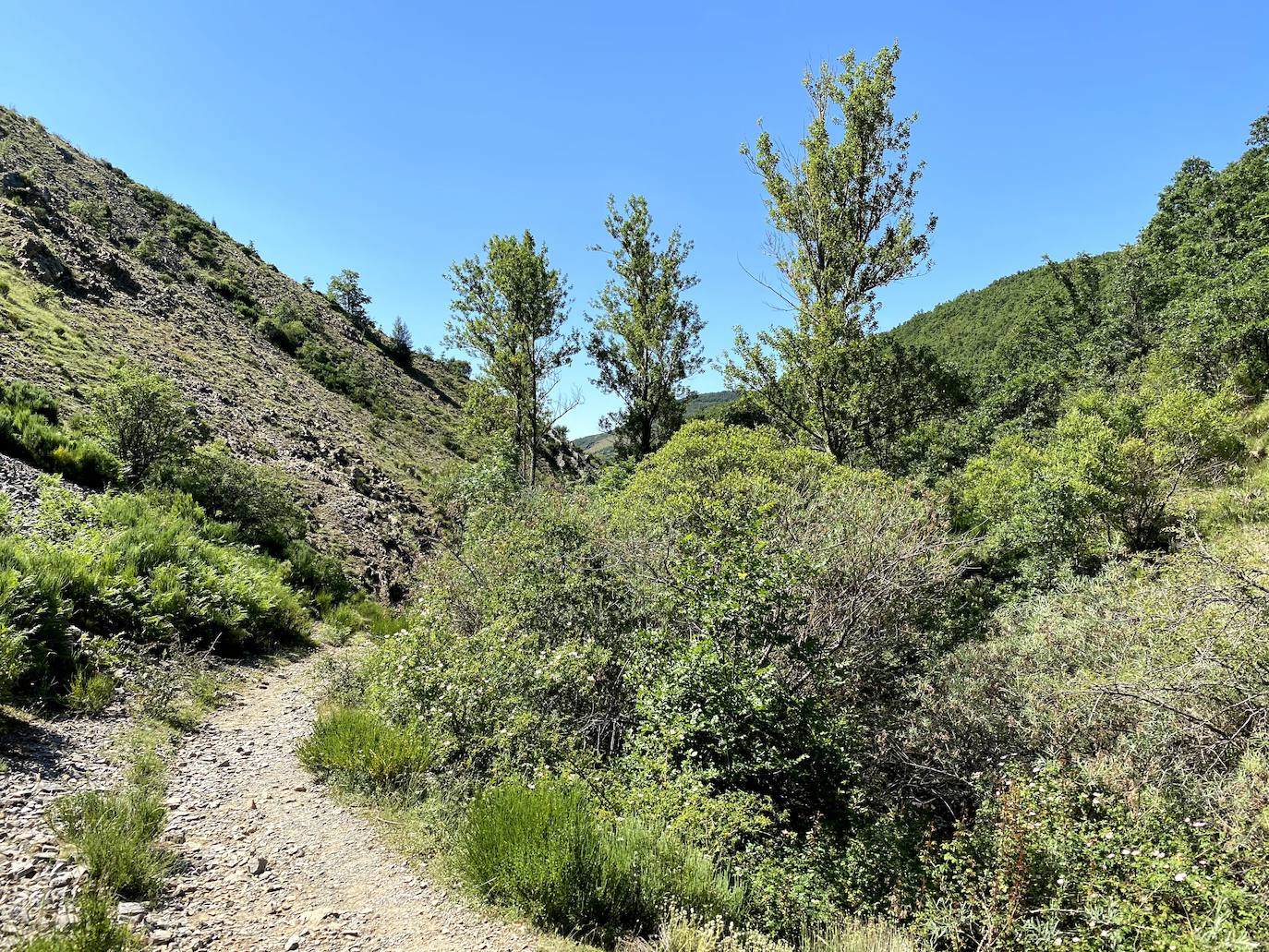 Fotos: De ruta por León: Los Calderones