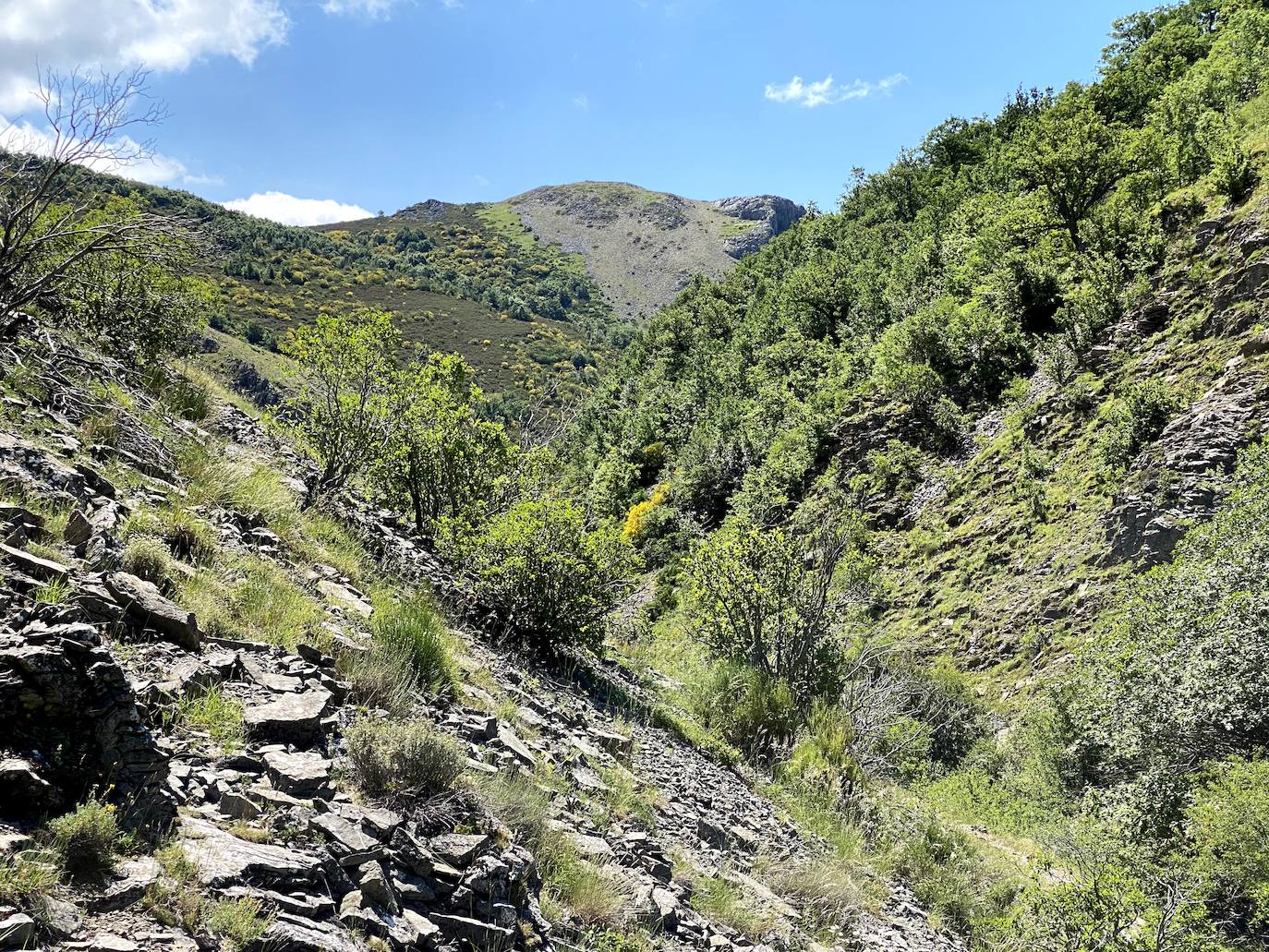 Fotos: De ruta por León: Los Calderones