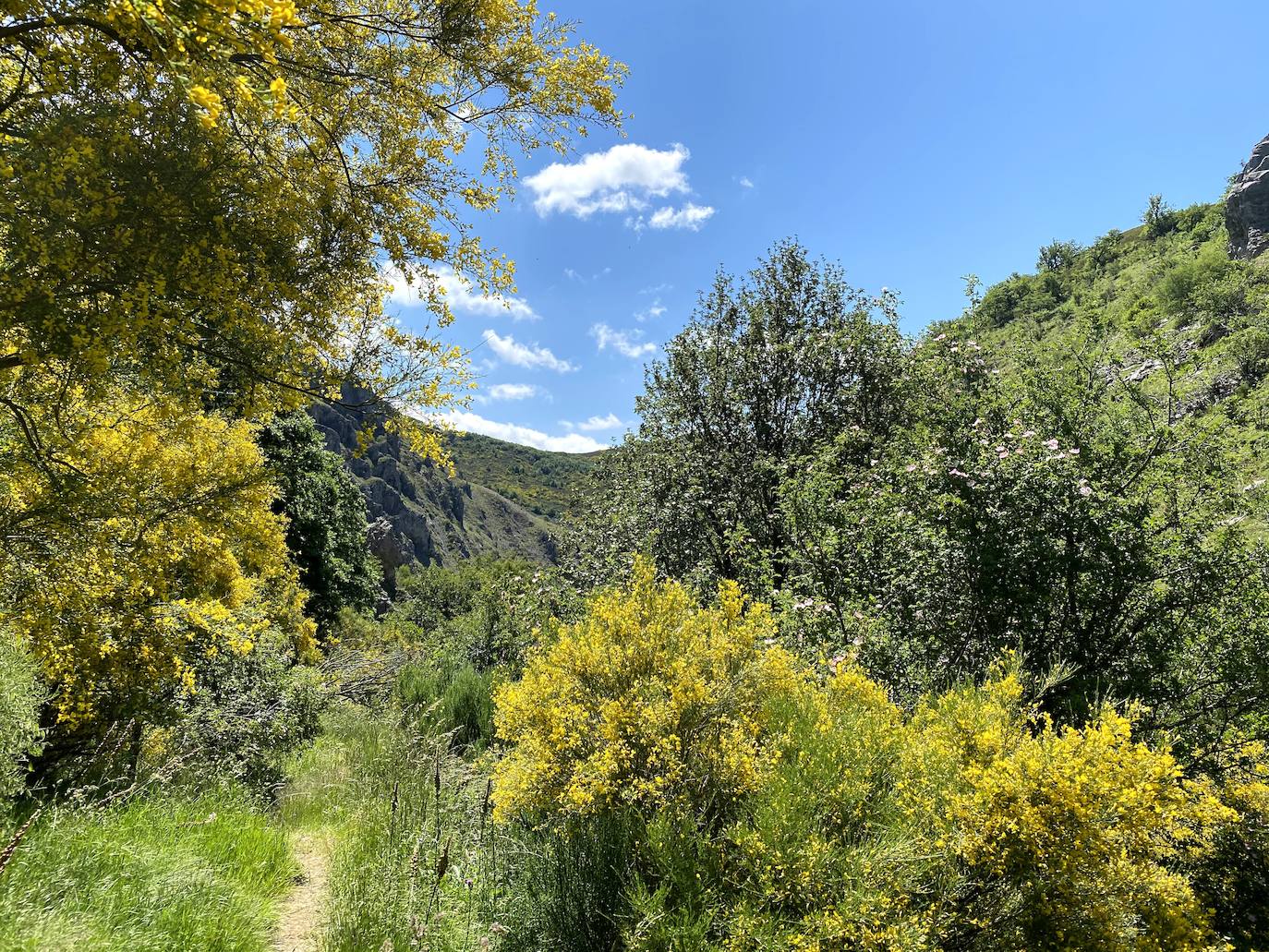 Fotos: De ruta por León: Los Calderones