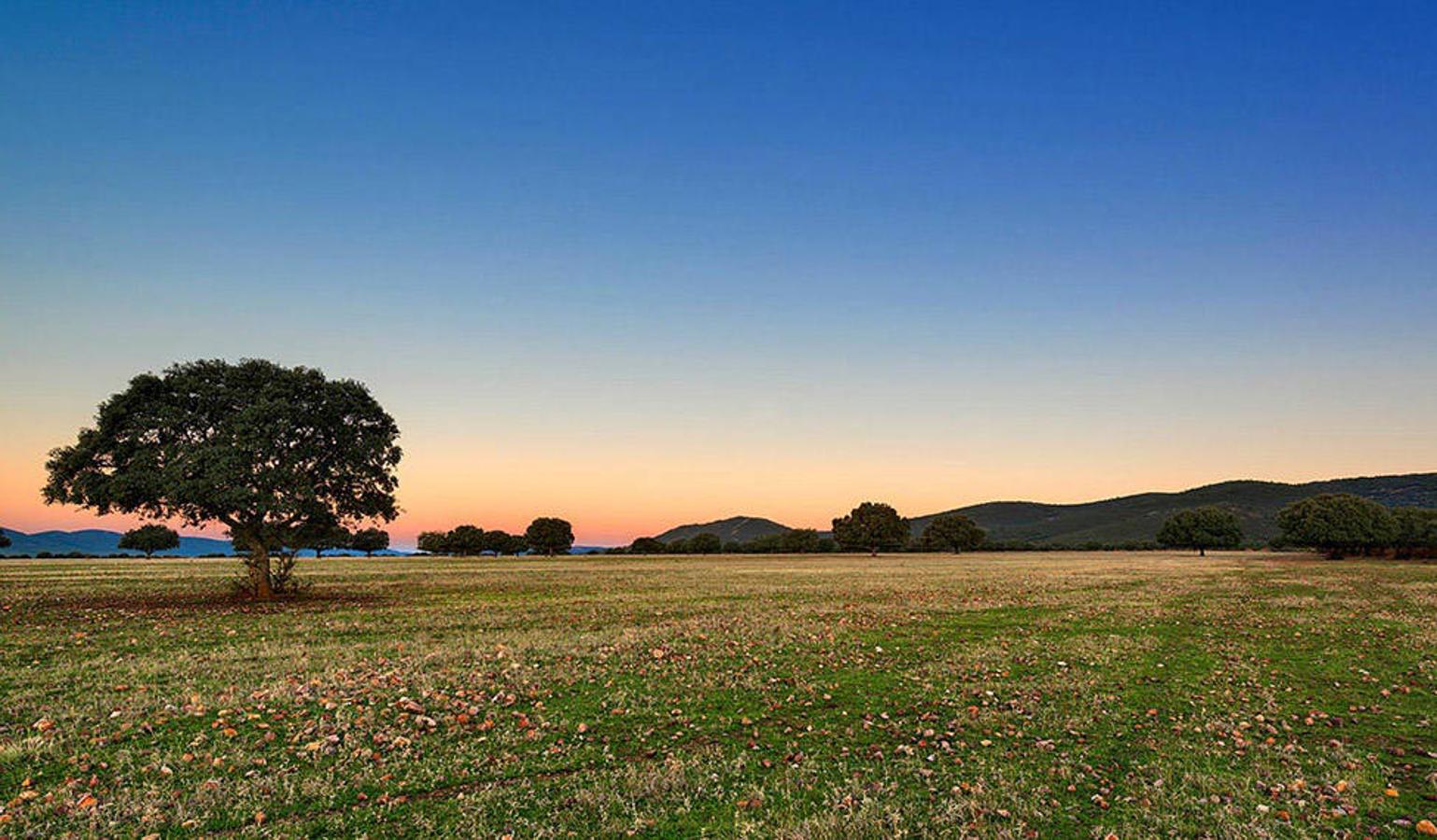 Parque Nacional de Cabaneros (Ciudad Real y Toledo) | El Parque Nacional de Cabañeros se encuentra en Castilla La Mancha entre las provincias de Ciudad Real y Toledo y en la actualidad es uno de los espacios protegidos de mayor relevancia en la península ibérica. Por él encontraremos una gran variedad de fauna y vegetación, además de una peculiar geología, que convierten este espacio en un paraje de gran valor natural.