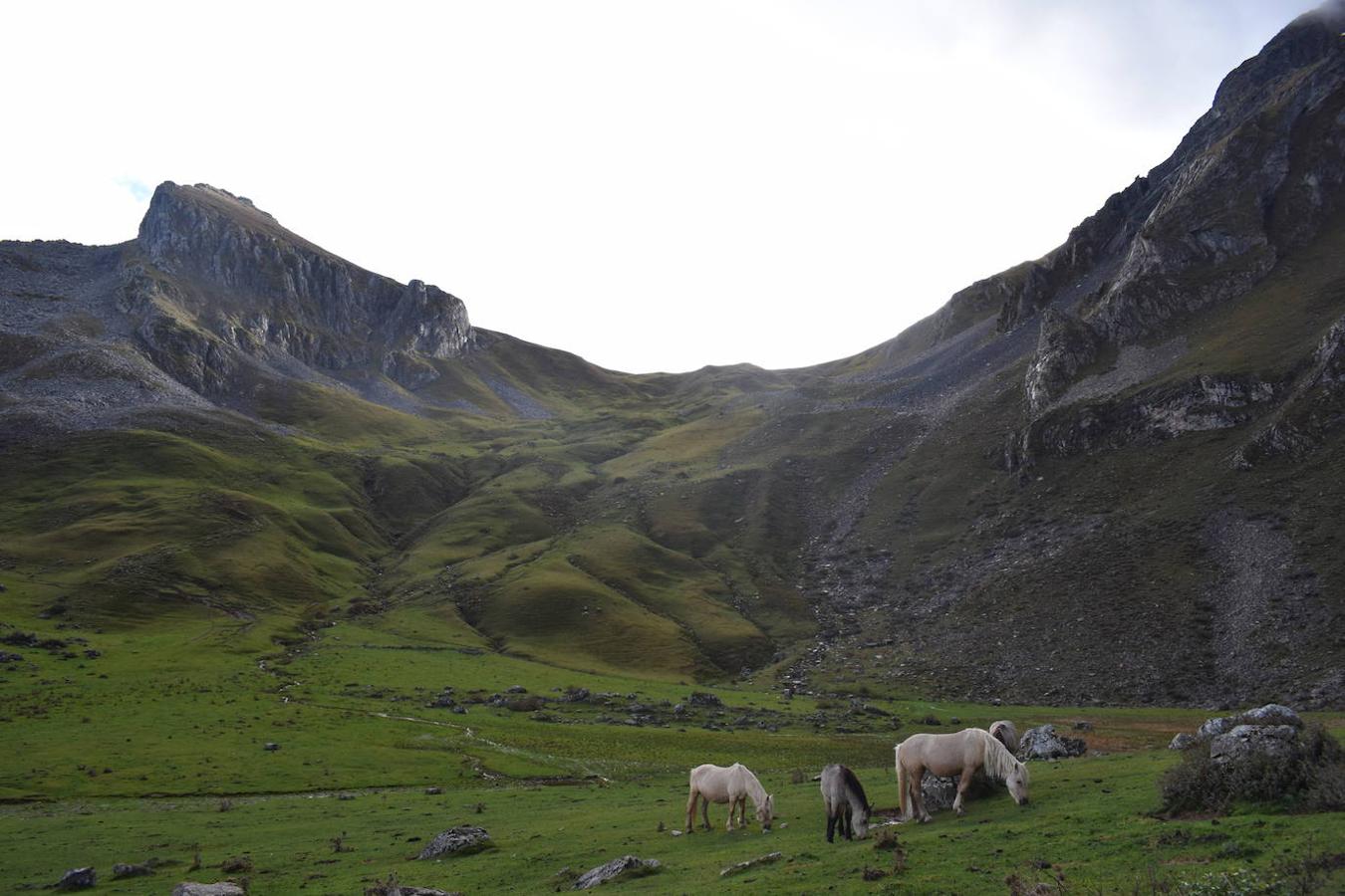 Parque Natural de Las Ubiñas-La Mesa (Asturias). Este Parque Natural ubicado en la Zona meridional y central de Asturias, cuenta con una gran riqueza natural y cultural. Por él nos encontraremos con imponentes relieves montañosos repletos de contrastes como el macizo de Peña Ubiña, la segunda montaña más alta de la región después de los Picos de Europa, que limita con tierras leonesas. Un territorio que integra los concejos de Lena, Quirós y Teverga y en el que encontraremos una gran diversidad biológica y de fauna cantábrica con especies como el oso pardo, el urogallo, aves rapaces, corzos, venado, rebecos o incluso lobos.