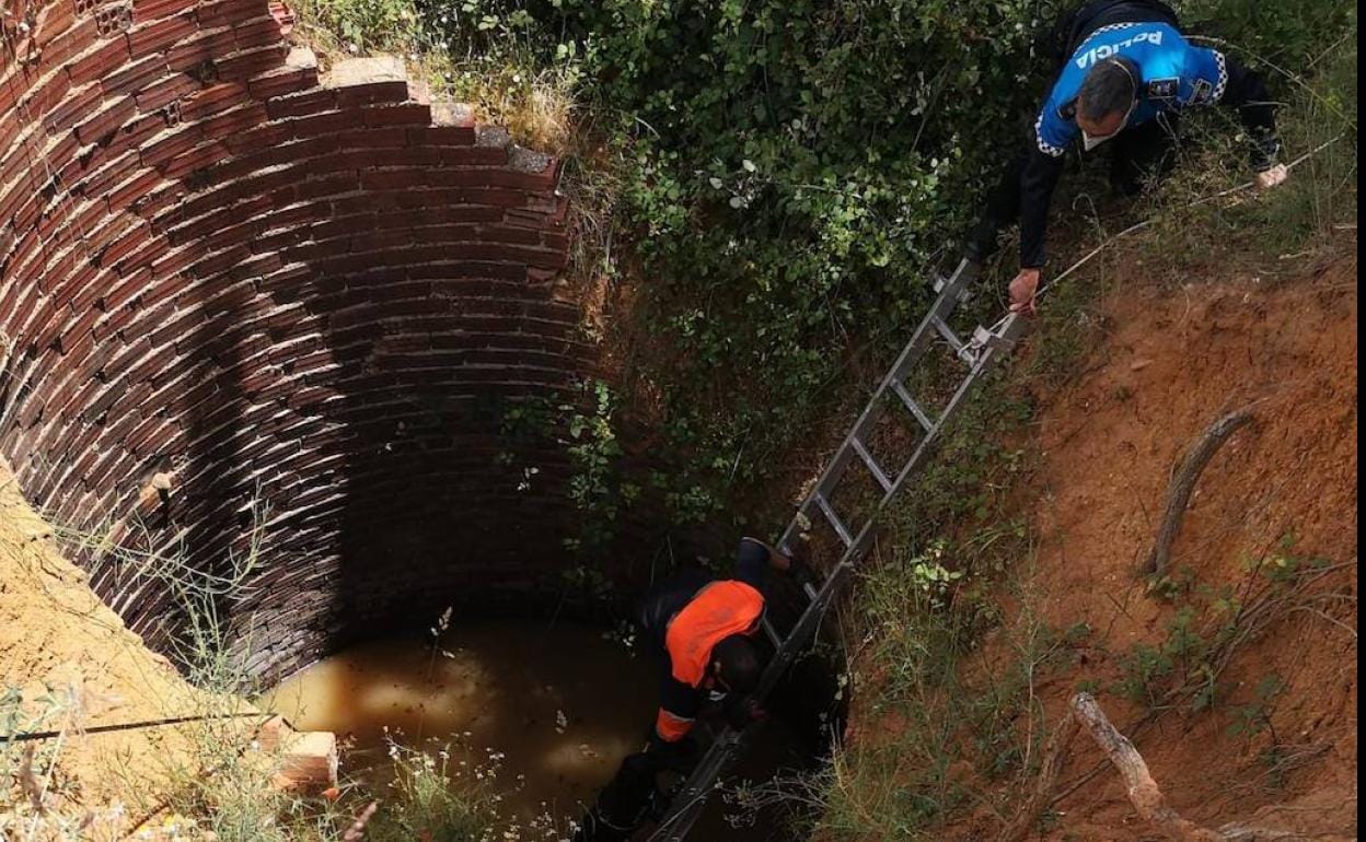 Rescate de un perro en un pozo de la localidad. 