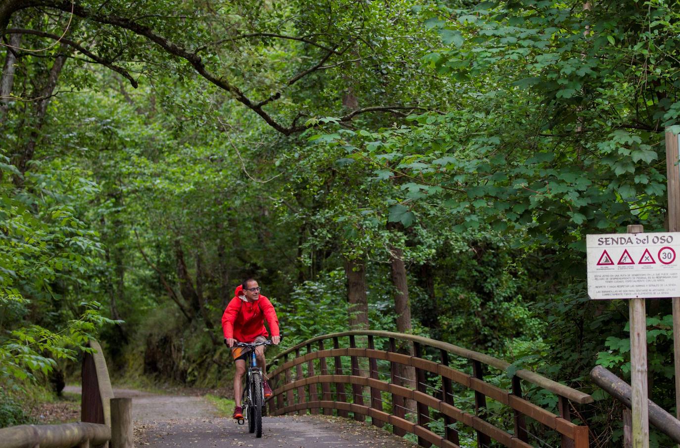 Un hombre en bici por un puente de la vía verde de la senda del Oso, en Asturias.