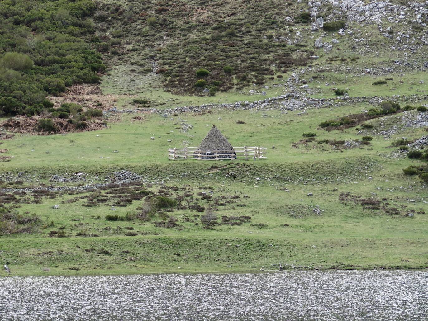 Fotos: Lago de Isoba