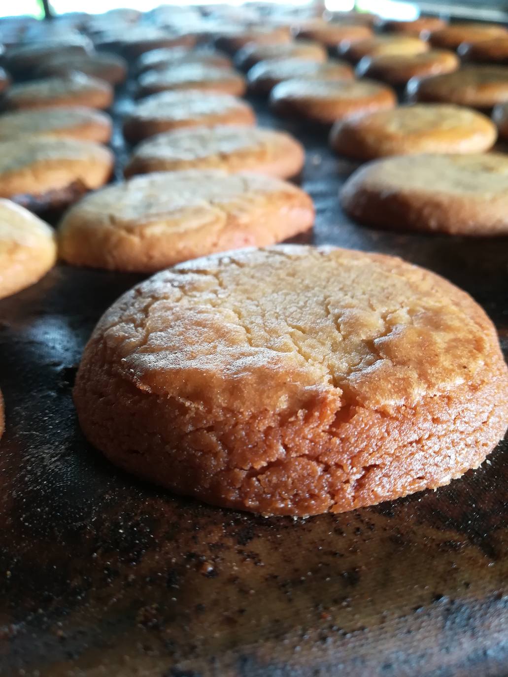 Fotos: Panadería Tierra La Reina, un oasis en la montaña leonesa