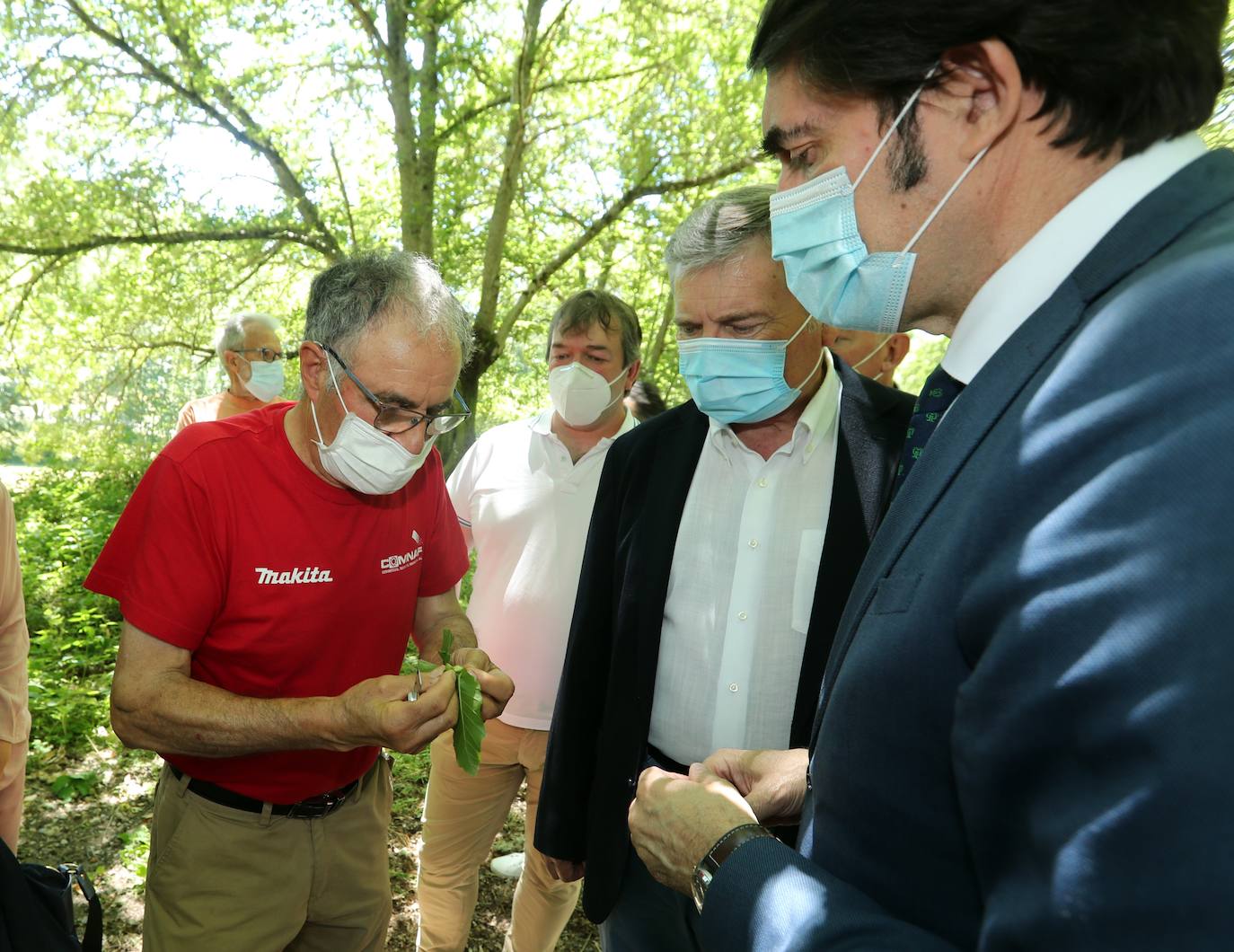 Suárez-Quiñones se muestra optimista sobre los resultados de los trabajos para atajar la avispilla del castaño. 