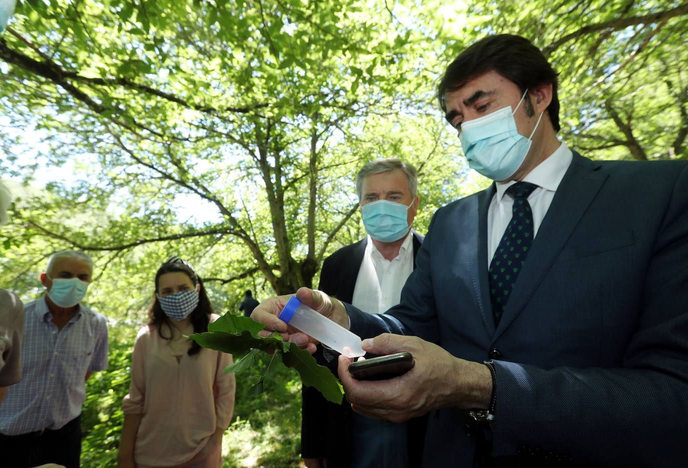 Suárez-Quiñones se muestra optimista sobre los resultados de los trabajos para atajar la avispilla del castaño. 