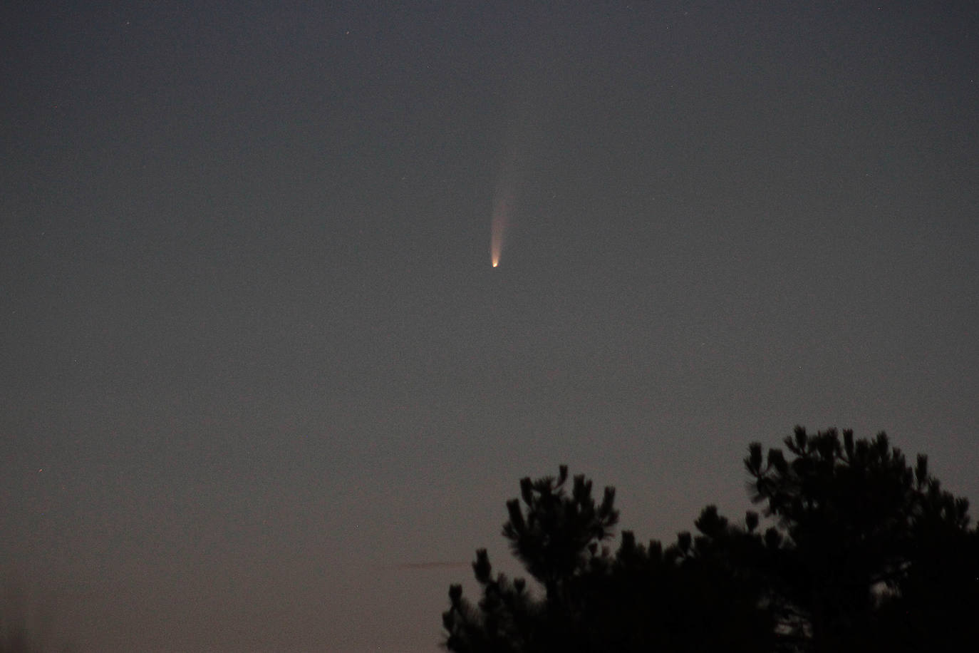 El cometa puede observarse estos días a simple vista en zonas despejadas.