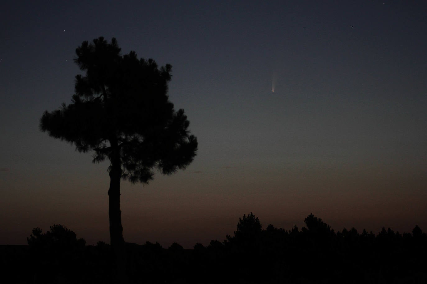 El cometa puede observarse estos días a simple vista en zonas despejadas.