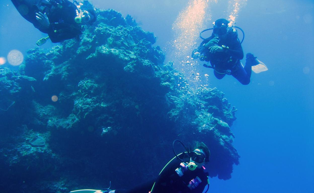 Una imagen de fondos marinos presentada en el Encuentro de los Mares.