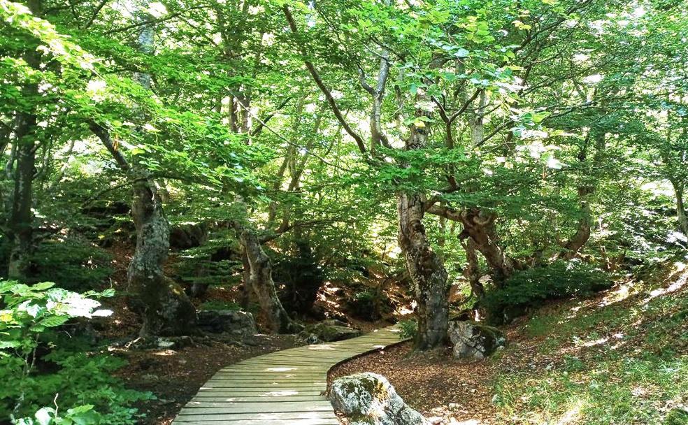 En plena reserva de la Biosfera del Alto Bernesga este paraje se ha adaptado a la fuerte demanda de deportes de montaña.