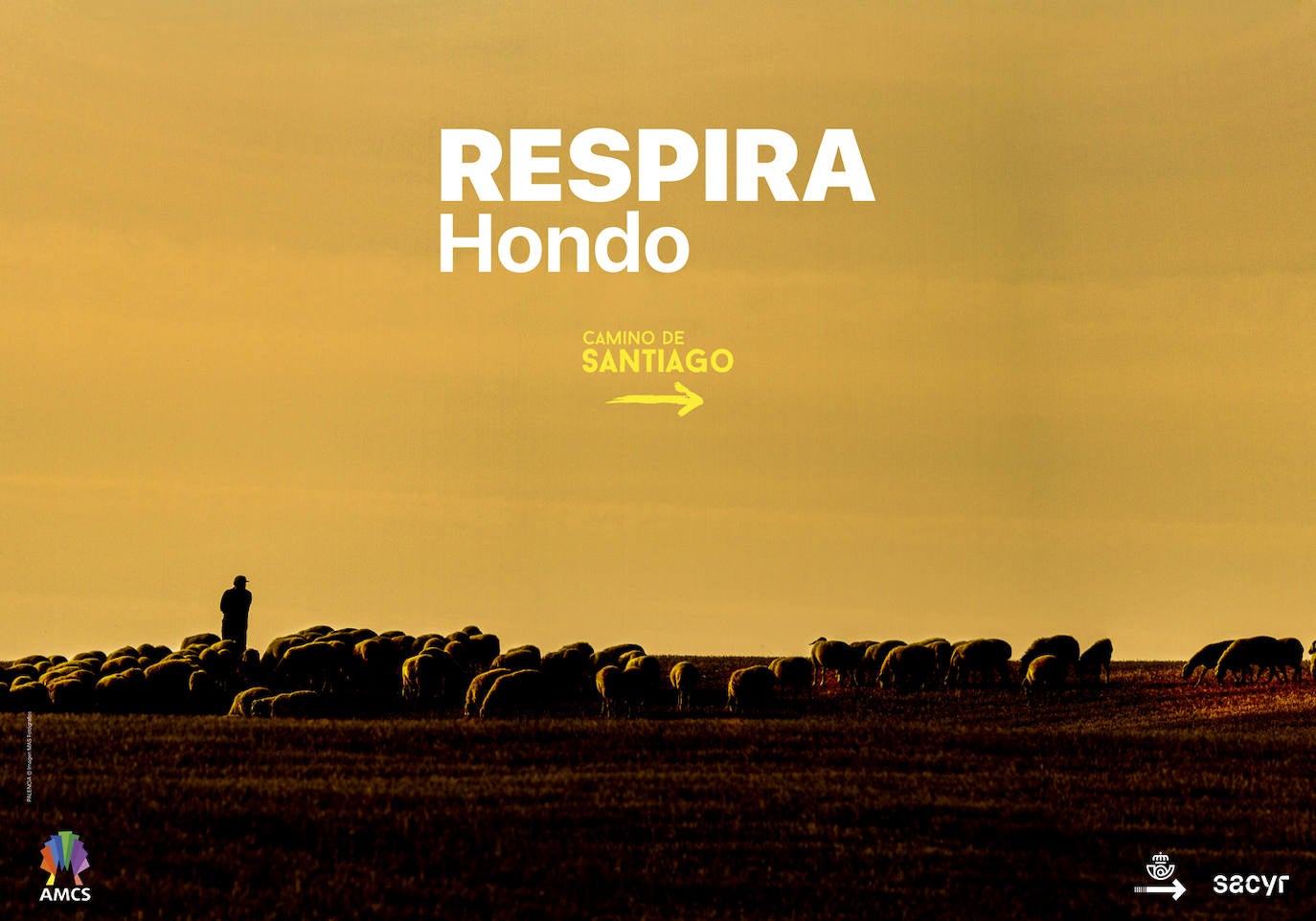 Los Municipios Jacobeos presentan la campaña promocional' del Camino de Santiago: 'Respira Hondo'
