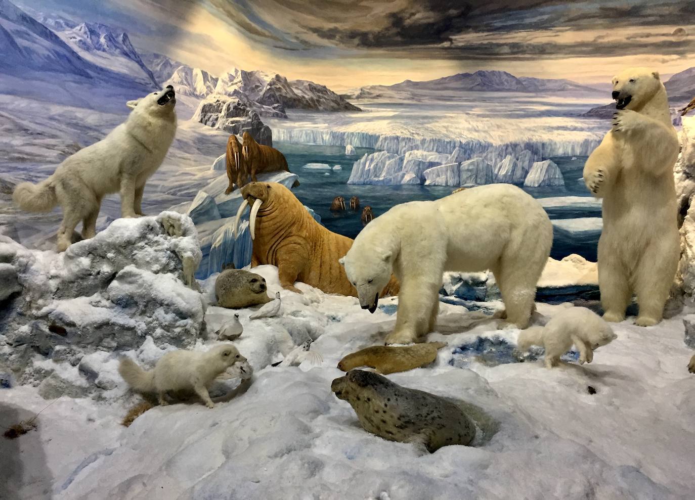 El Consorcio Provincial de Turismo y Leonoticias realizan un recorrido por los museos de la montaña leonesa para descubrir desde la acciones emprendidas por el hombre hasta la fauna y flora de este enclave