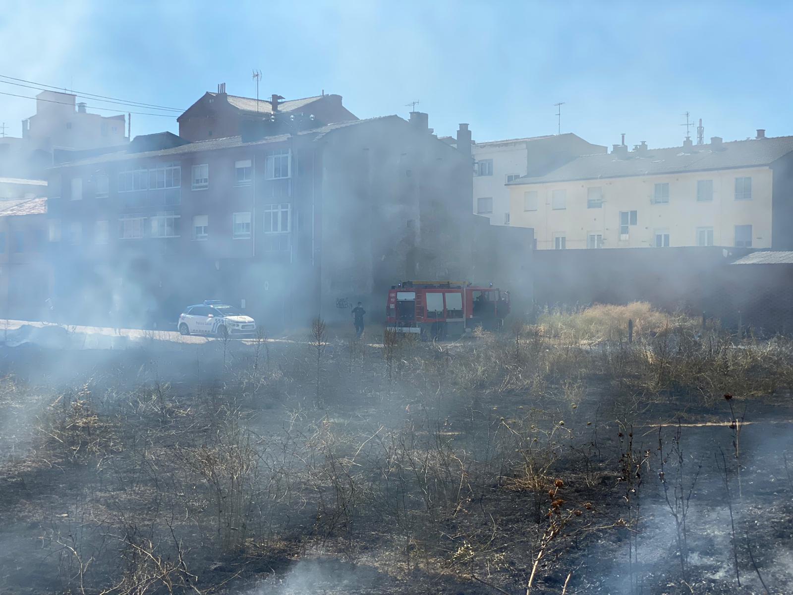 El fuego ha devorado parte del prado de esta zona de la capital leonesa.