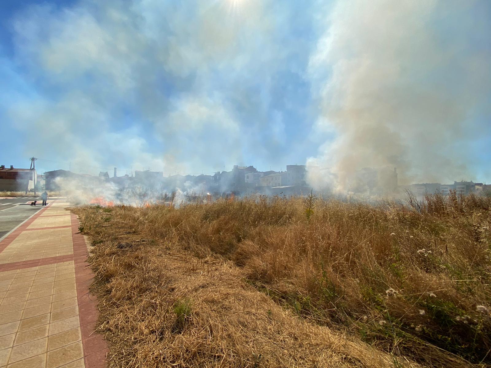 El fuego ha devorado parte del prado de esta zona de la capital leonesa.