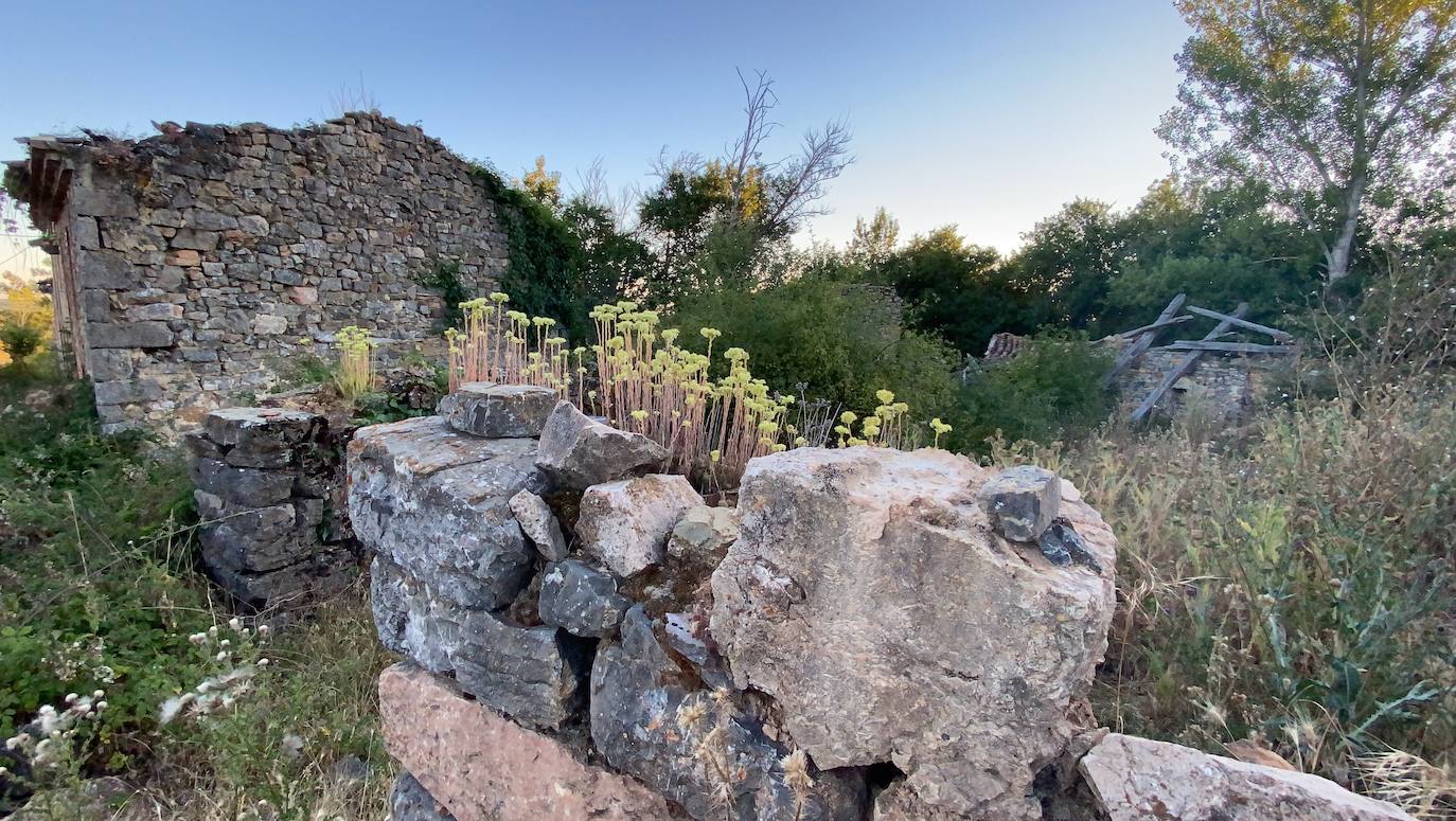 Fotos: Los pueblos olvidados: Quintana de la Peña