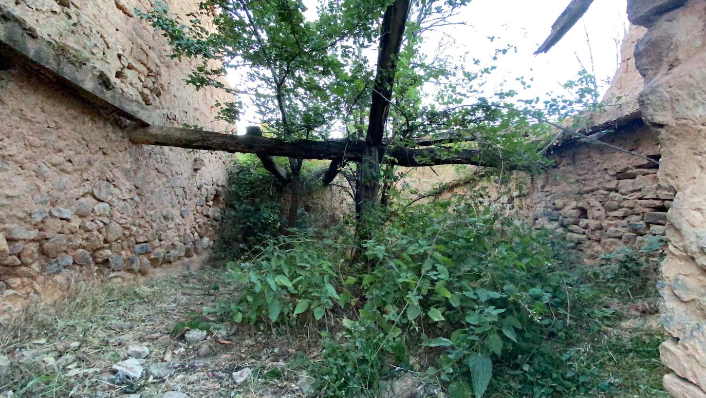 Fotos: Los pueblos olvidados: Quintana de la Peña