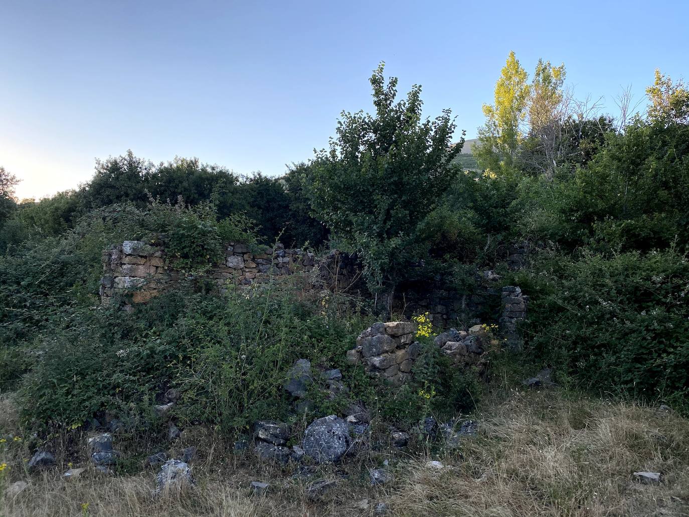 Fotos: Los pueblos olvidados: Quintana de la Peña