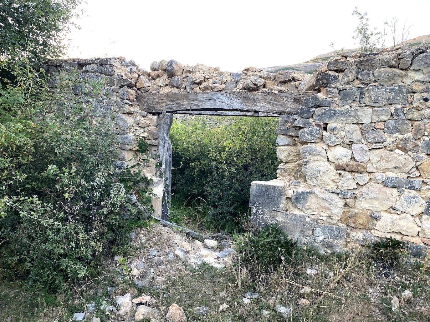 Fotos: Los pueblos olvidados: Quintana de la Peña