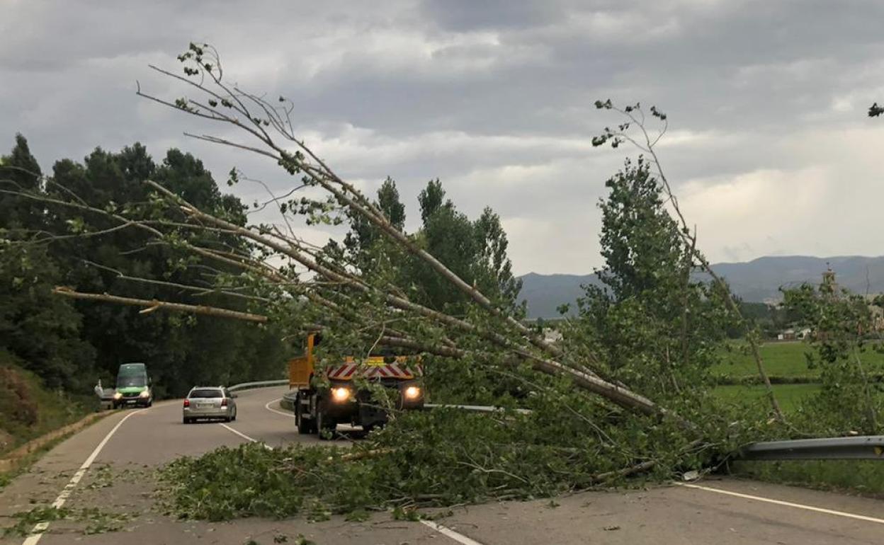 Imagen del lugar en el que se ha producido el corte.