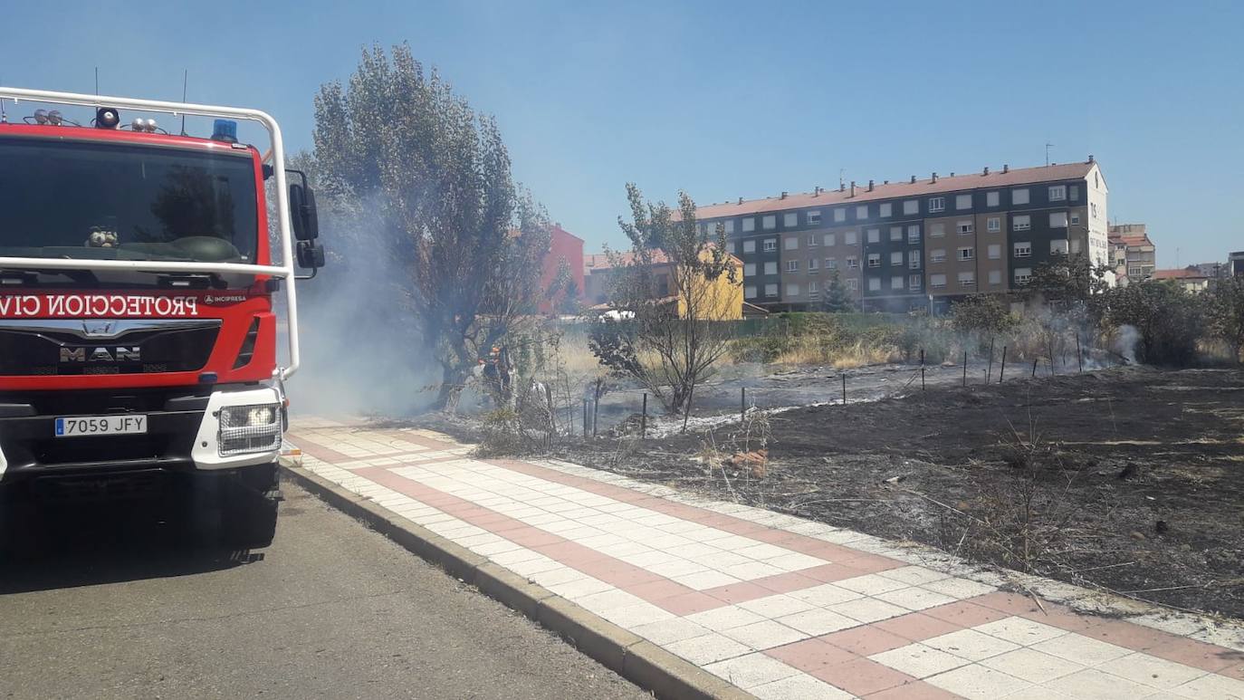 Incendio en una parcela de San Andrés del Rabanedo. 