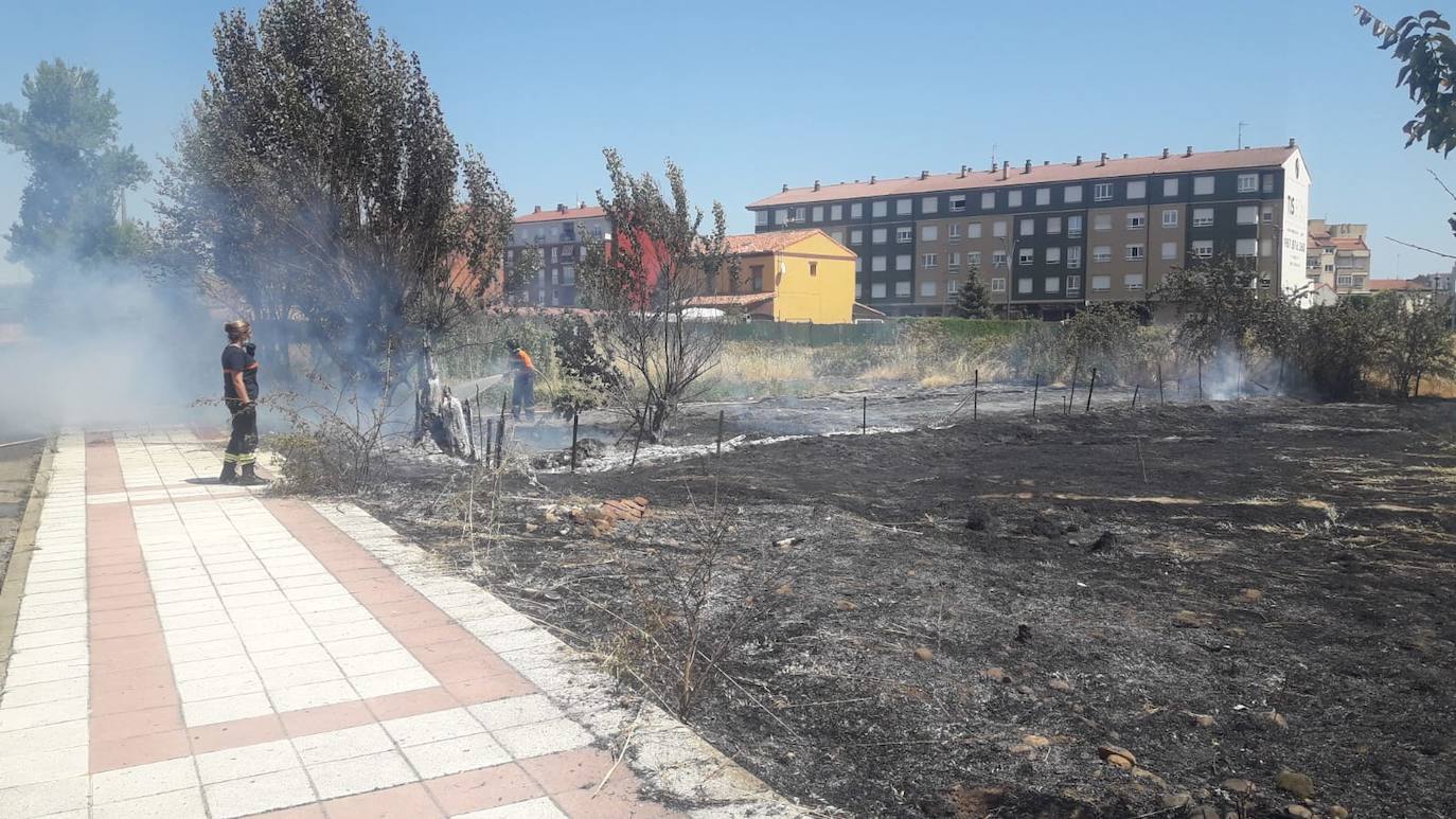 Incendio en una parcela de San Andrés del Rabanedo. 