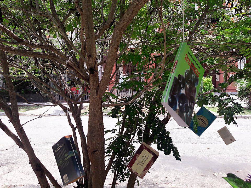 Los libros florecen en el Musac. 