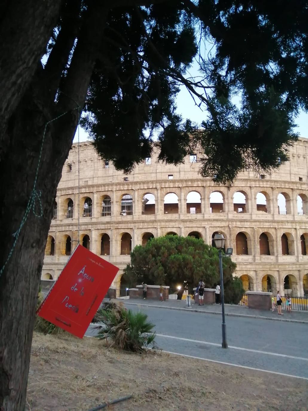 Los libros florecen en el Musac. 