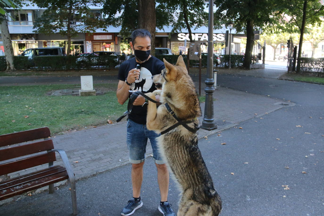 Mina, Laya y Afro hicieron las maletas con su dueño y viajaron hasta Portugal para rodar una superproducción | No es la primera vez que los tres perros rueda una película o aparecen en una serie, pero sí la primera que se codean con Nicolas Cage. 