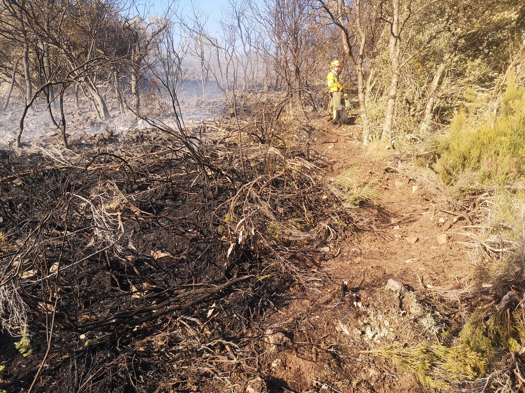 Fotos: Brif Tabuyo en el incendio de Montealegre