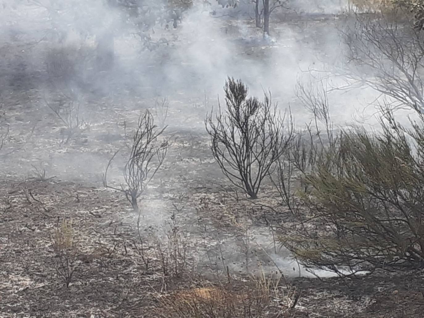 El incendio, cuyas causas se desconocen por el momento, se ha iniciado en torno a las 14:20 horas de este domingo y ha sido controlado por efectivos de Protección Civil