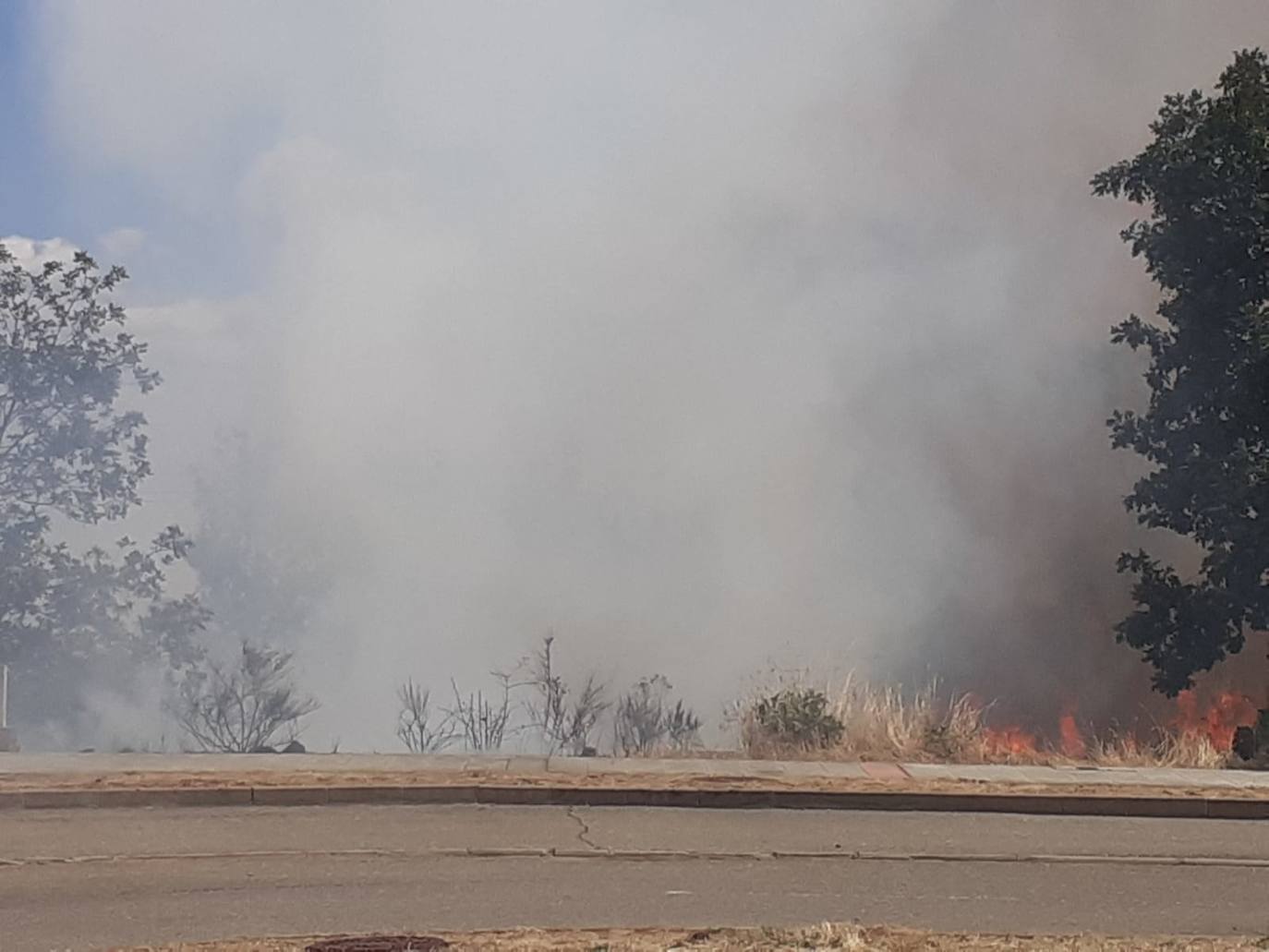 El incendio, cuyas causas se desconocen por el momento, se ha iniciado en torno a las 14:20 horas de este domingo y ha sido controlado por efectivos de Protección Civil