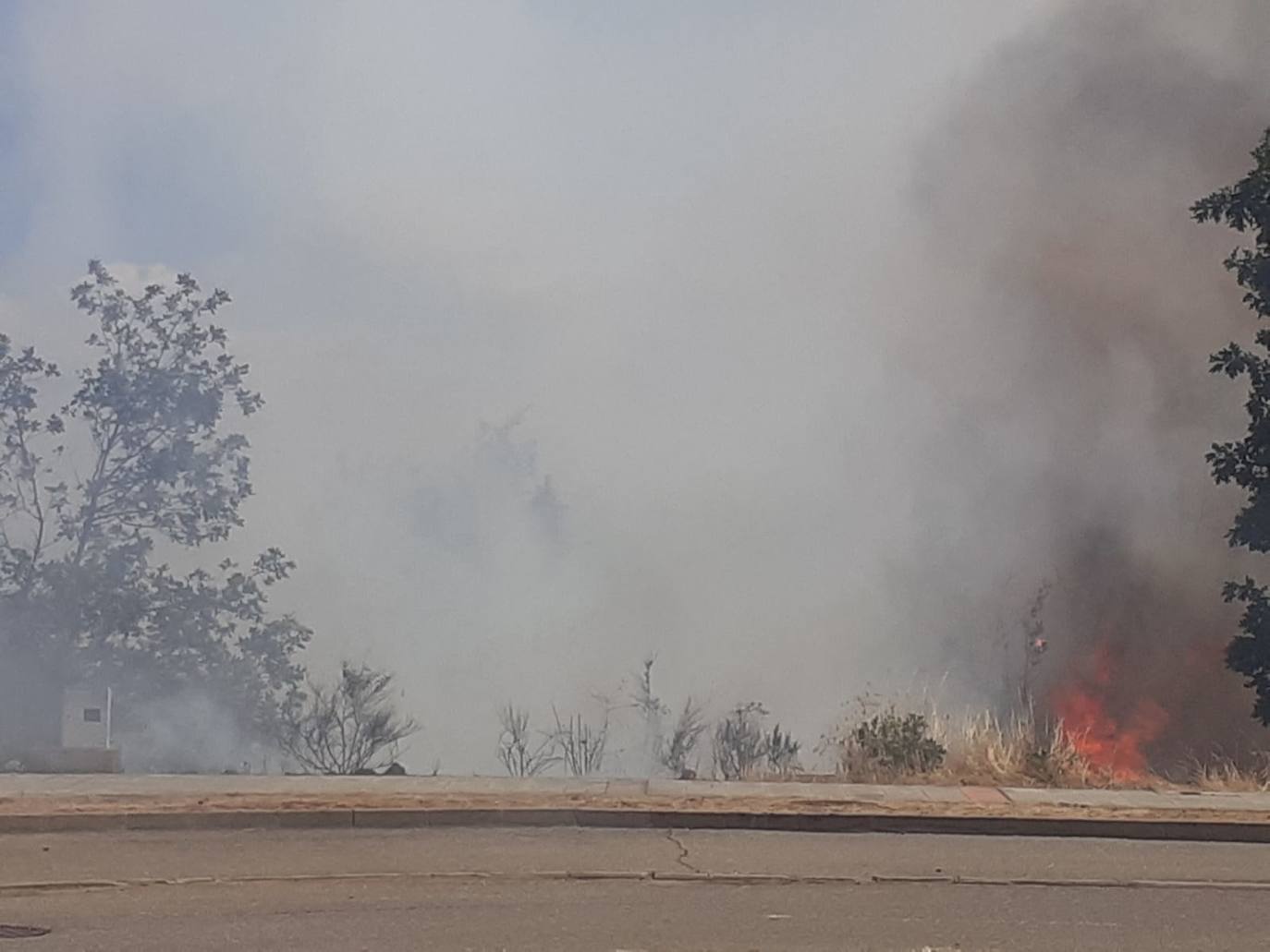 El incendio, cuyas causas se desconocen por el momento, se ha iniciado en torno a las 14:20 horas de este domingo y ha sido controlado por efectivos de Protección Civil