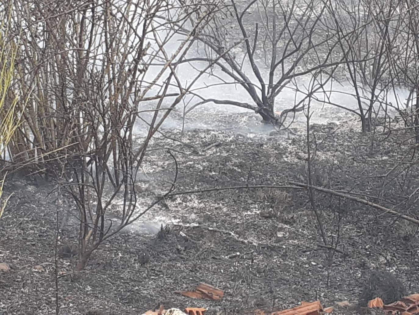 El incendio, cuyas causas se desconocen por el momento, se ha iniciado en torno a las 14:20 horas de este domingo y ha sido controlado por efectivos de Protección Civil