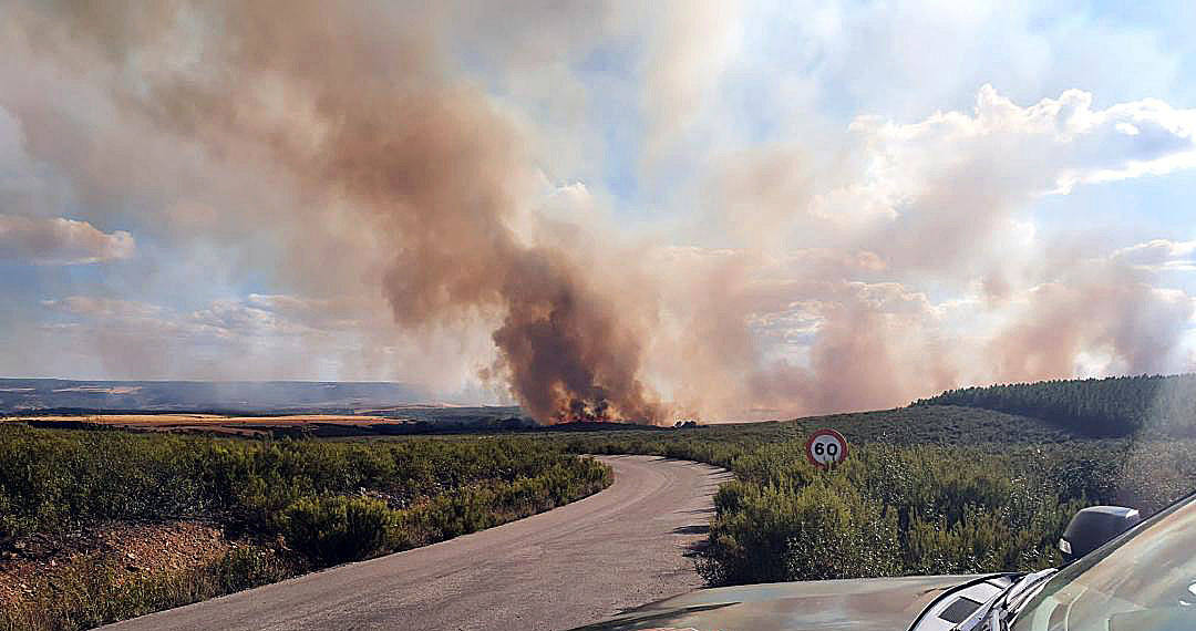 Fotos: Incendio forestal en Gallegos del Río (Zamora)