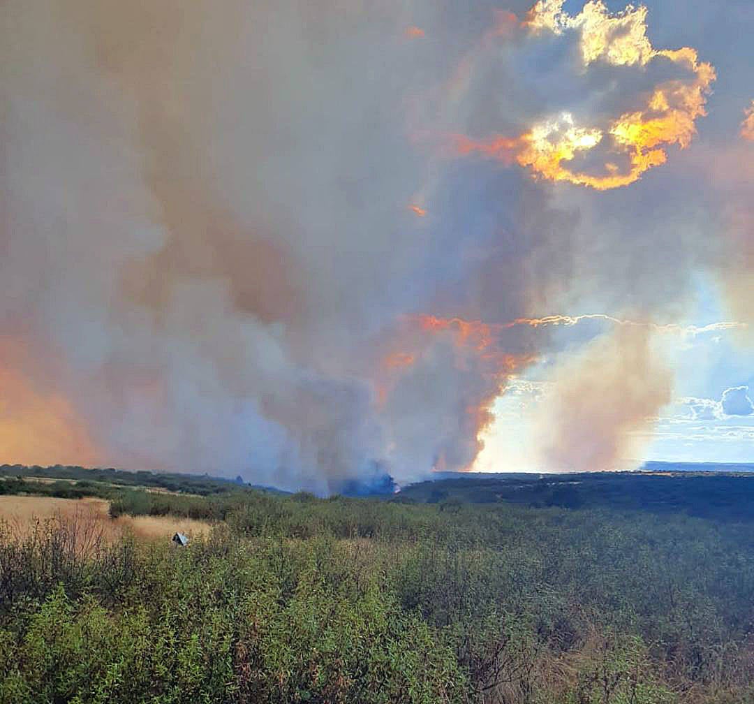 Fotos: Incendio forestal en Gallegos del Río (Zamora)